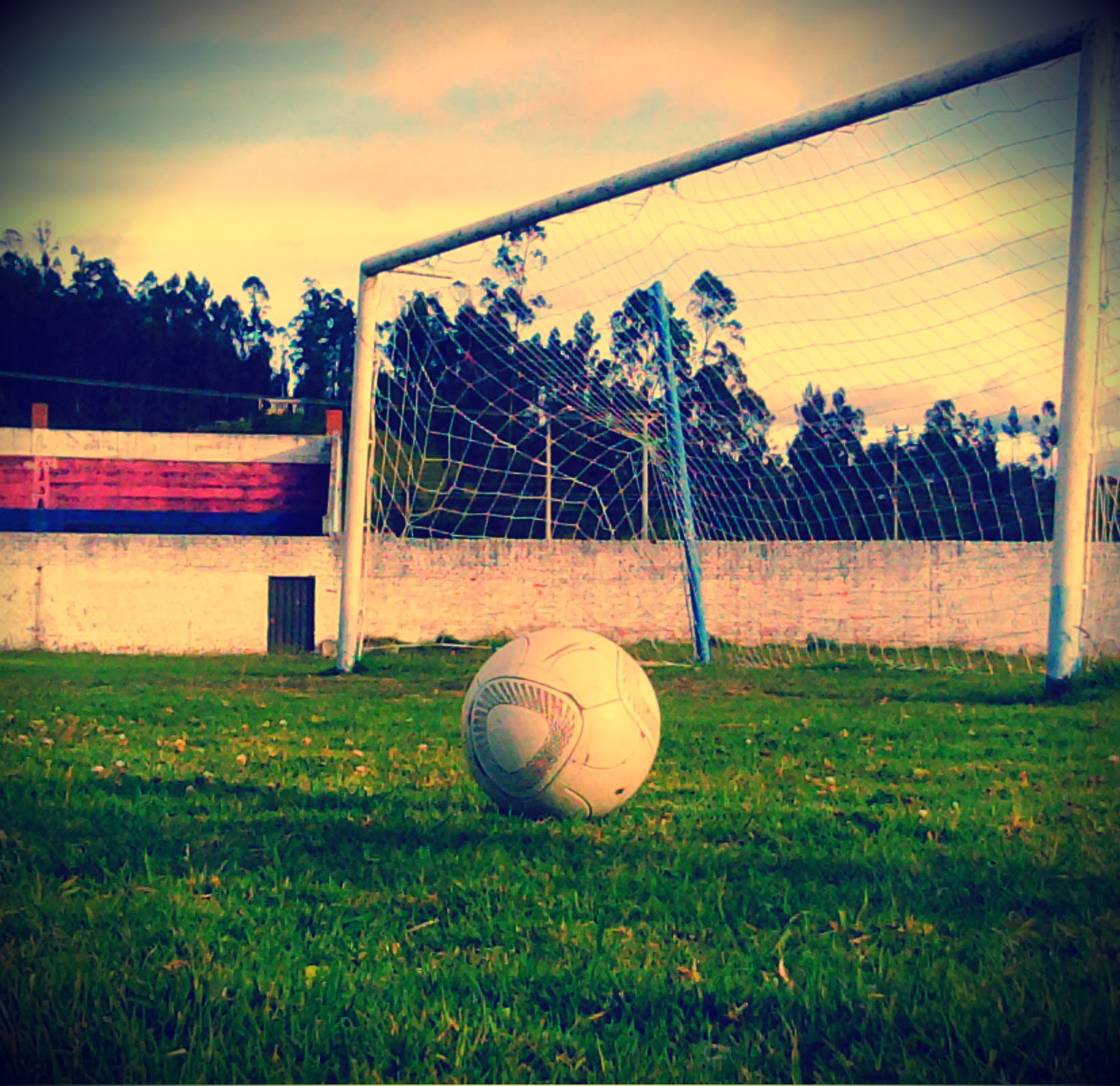 Resultado de imagen para pasion futbol